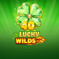 40 Lucky Wilds Hot game thumbnail